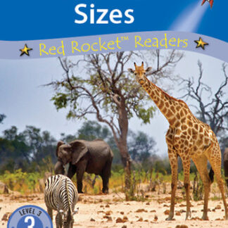 Animal Sizes