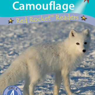 Clever Camouflage