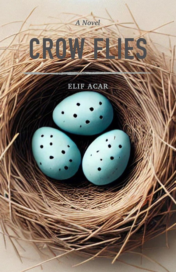 Crow Flies: The Crow Series, #1