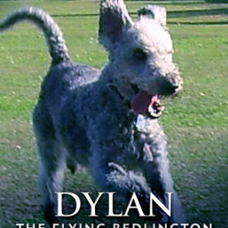 Dylan: The Flying Bedlington