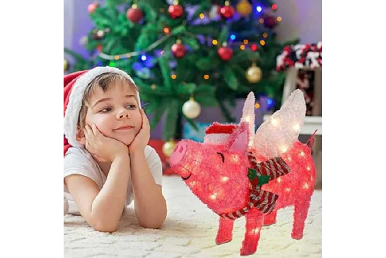 Magical Led Light-Up Pink Flying Pig | Wowcher