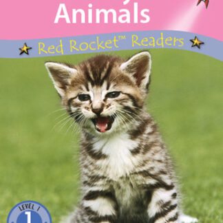 Noisy Animals
