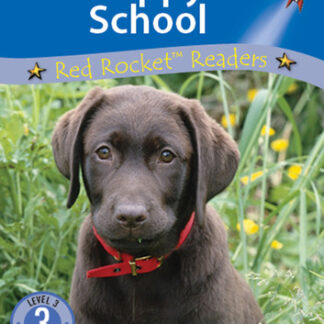 Puppy School