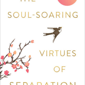 The Soul-Soaring Virtues of Separation: 111 Learnings to Heal Your Heart and Help You Fly