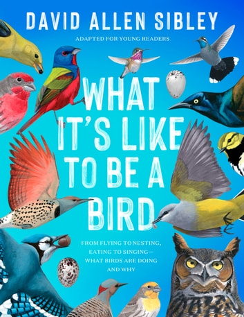 What It's Like to Be a Bird (Adapted for Young Readers): From Flying to Nesting, Eating to Singing-What Birds Are Doing and Why