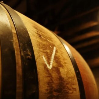 Premium Whisky Tasting with 90 Min Distillery Tour Option - Jackton Distillery - East Kilbride | Wowcher