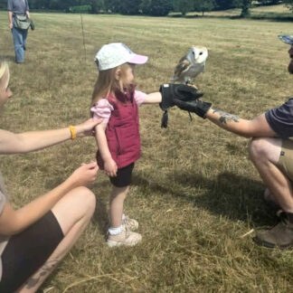 1-Hour Hands-On Owl Flying and Handling Experience - Toras Falconry, Burntwood | Wowcher