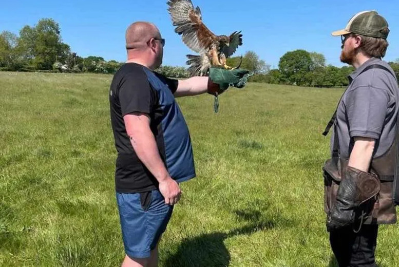 2-Hour Hands-On Birds of Prey Experience - Flying + Handling & Hawk Walk Upgrade! - Toras Falconry, Burntwood | Wowcher