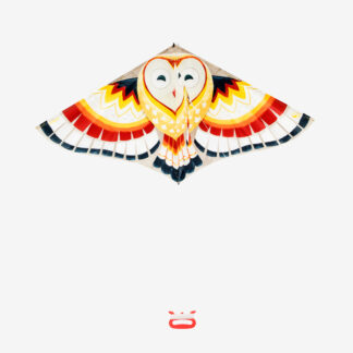 Kids' Static Kite - Mfk 100 Owl