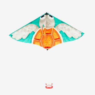 Kids' Static Kite - Mfk 100 Tortoise