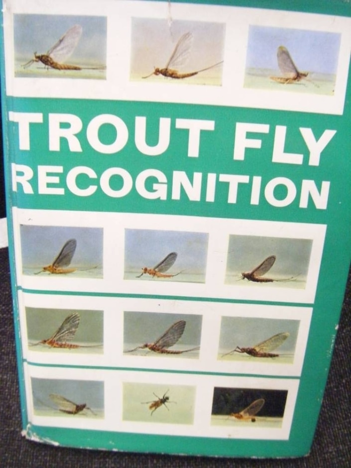 Trout Fly Recognition - Third Edition